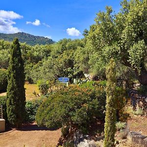 Hotel Cala Di L'Oru